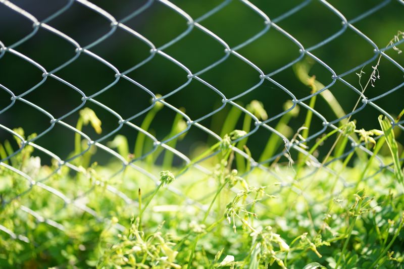 Chain Link Fence Installation in Suwanee, GA