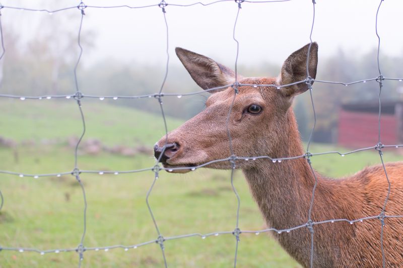 Deer Fence Installation in Cumming, GA