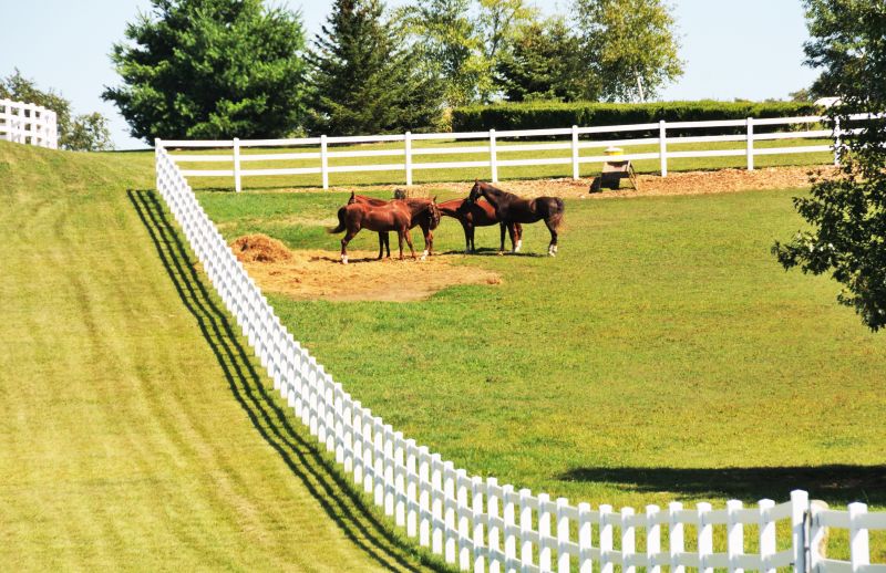 Equine Fence Installation in Cumming, GA