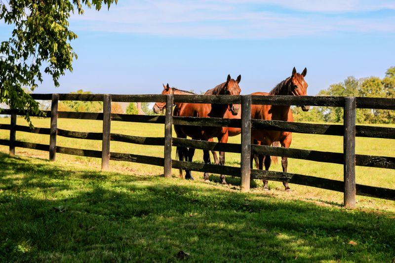 Horse Fence Replacement in Cumming, GA