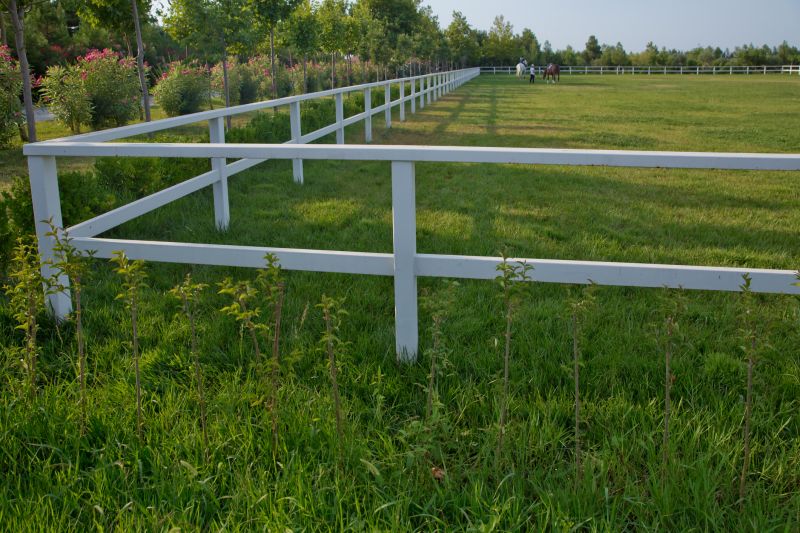 Horse Fence Replacement in Cumming, GA
