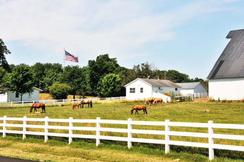 Horse Paddock Installation in Cumming, GA