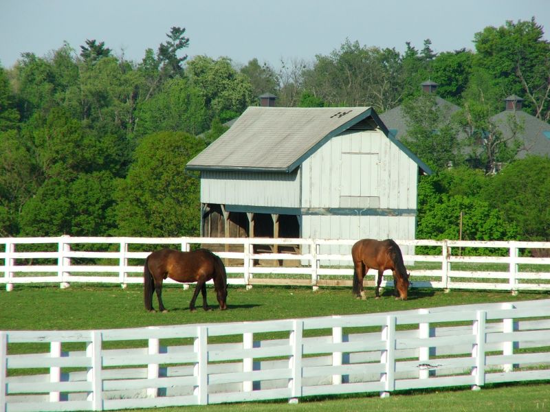 Stable Fencing Installation in Cumming, GA